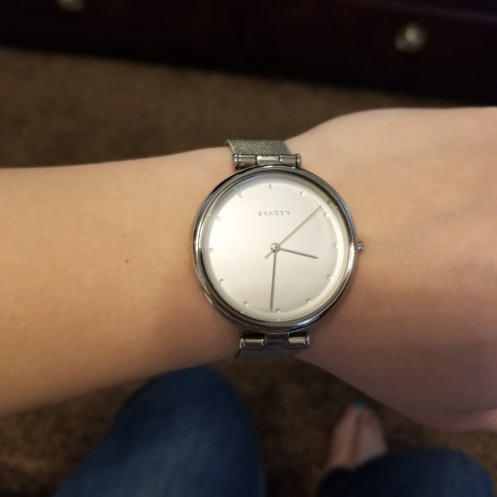 Silver Skagen Watch
